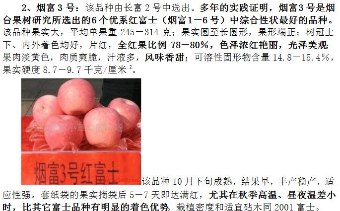 天津新早熟苹果树苗品种多少钱一棵