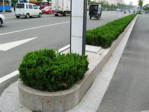 s型路沿石生产厂家_路沿石_晓林石材路沿  花岗岩路沿石的价  s形路沿石五莲花