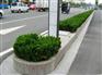 珍珠花路沿石厂家_通州路沿石_泰山石材(