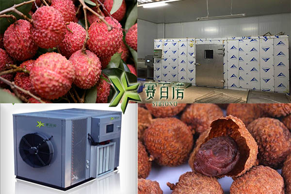 PLC触控_省电省人工_荔枝烘干机&nbsp;&nbsp;荔枝烘干机工艺&nbsp;&nbsp;荔枝烘干机价格