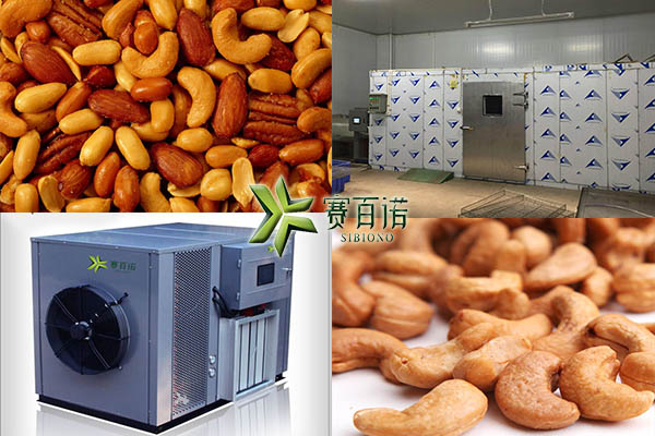 空气能腰果烘干机价格&nbsp;&nbsp;腰果烘干工艺