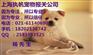 上海宠物入境报关全攻略