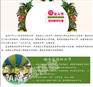 公司三八节组织什么活动比较好呢