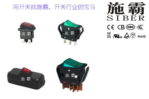 广东防水防尘带灯开关、施霸、IP65防水&nbsp;&nbsp;IP65防水防尘&nbsp;&nbsp;圆形防水防尘带灯&nbsp;&nbsp;方形防水防尘带灯