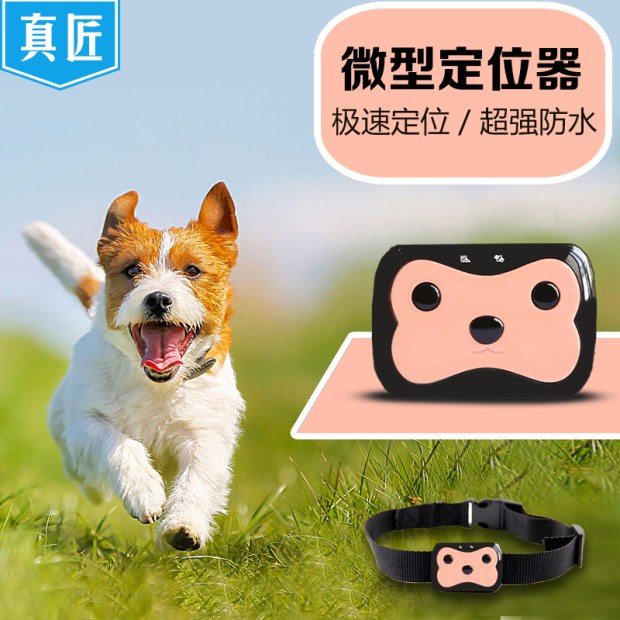 深圳真匠宠物微型定位器厂家狗猫gps追踪器