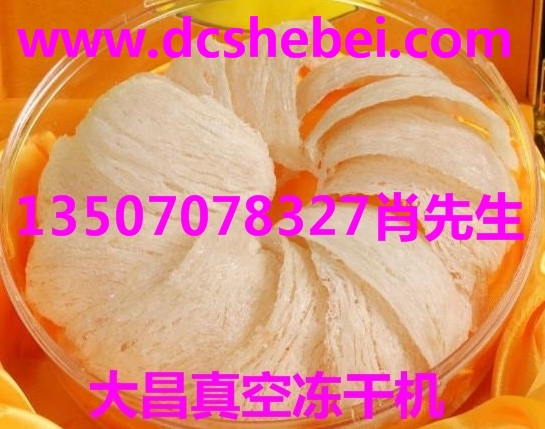 冻干机，食品冻干机厂家  药材冻干机  三七冻干机