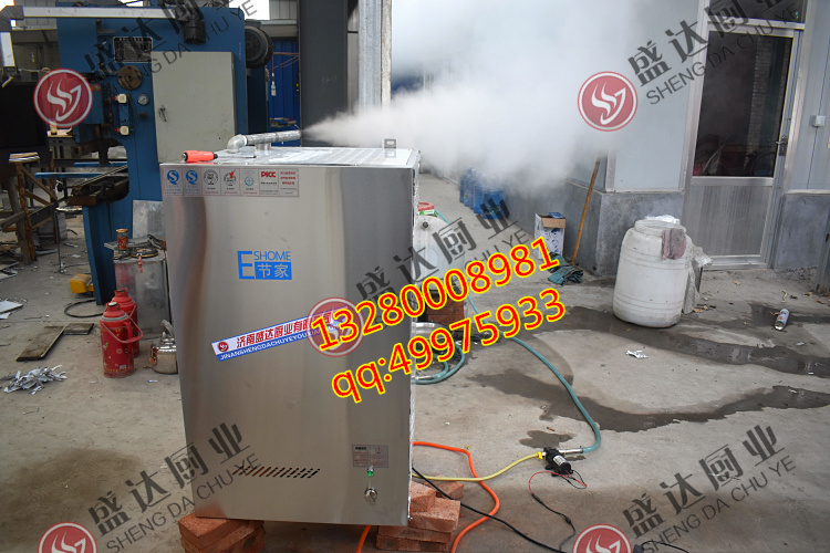 现货供应大型工厂的燃气蒸汽机 燃气锅炉 蒸汽发生器