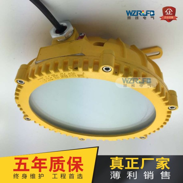 免维护低碳LED照明灯60W支架式灯珠 防爆灯厂家直销