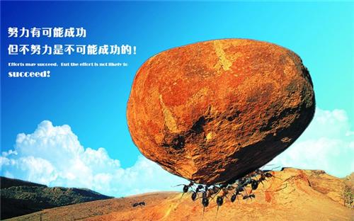 阳谷电缆_山东阳谷绿灯行电缆集团_山东阳 山东阳谷电缆集团