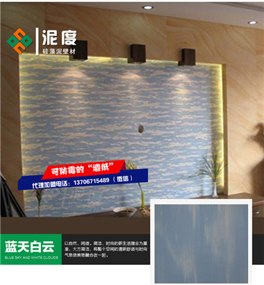 浙江湖州硅藻泥电视背景墙 泥度硅藻泥厂家批发 零加盟费  硅藻泥品牌  泥度硅藻泥加盟