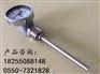 春辉WSS-310双金属温度计