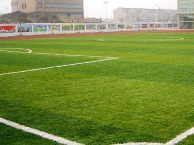 实用的人造草价格，人工草坪  硅Pu(SPU)塑胶  塑胶羽毛球场