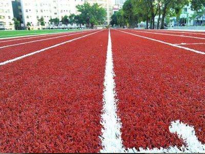 塑胶跑道怎么施工——超优惠的复合型塑胶跑  复合型塑胶跑道  复合型塑胶跑道施工  复合型塑胶跑道材料