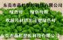 绿色母，广东绿色母，广东绿色母粒，广东注塑绿色母