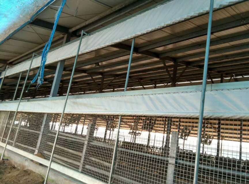黄冈直销猪场卷帘、养殖场专用卷帘批发，防寒、耐用  猪场卷帘布  养殖场卷帘布  防水卷帘