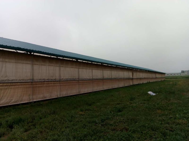 甘肃厂家直销定做 猪场卷帘、保温养殖场卷帘卷帘  养殖场卷帘布  防水卷帘