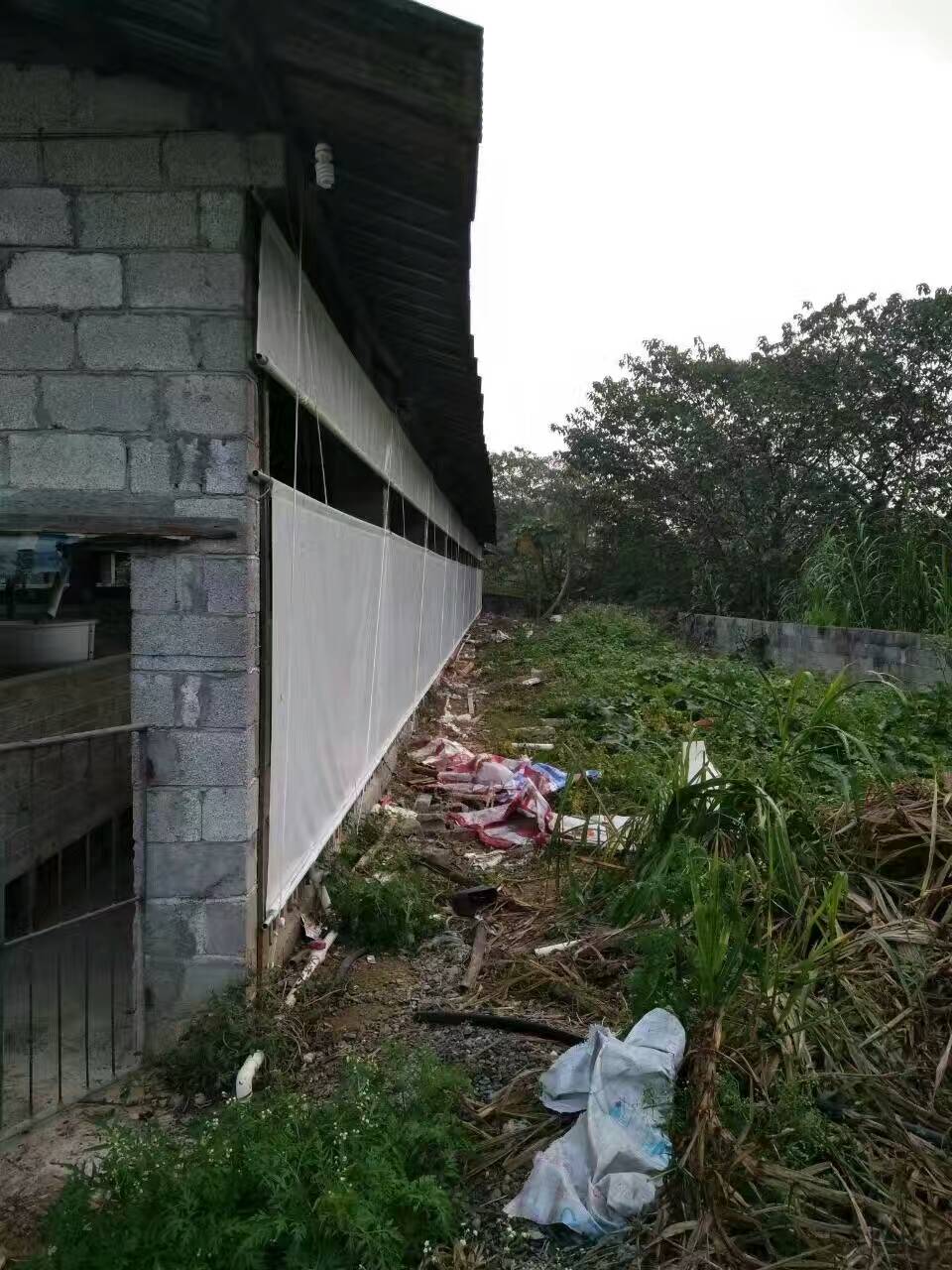 猪场卷帘、透光养殖场专用卷帘批发，防寒、耐用  搭棚卷帘布  盖货卷帘布