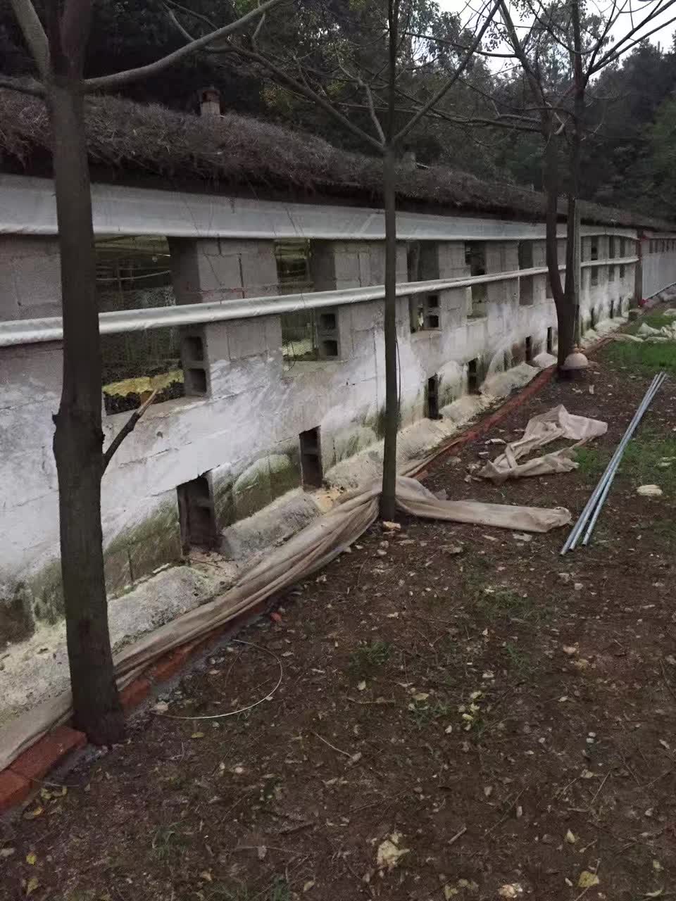 西宁厂专业生产透光猪场卷帘保温养殖场卷帘卷帘  猪舍卷帘布  汽车卷帘布  防水卷帘