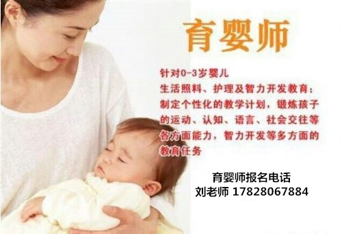 高级育婴师资格证怎么考？哪里可以报名&nbsp;&nbsp;育婴师证&nbsp;&nbsp;高级育婴师证