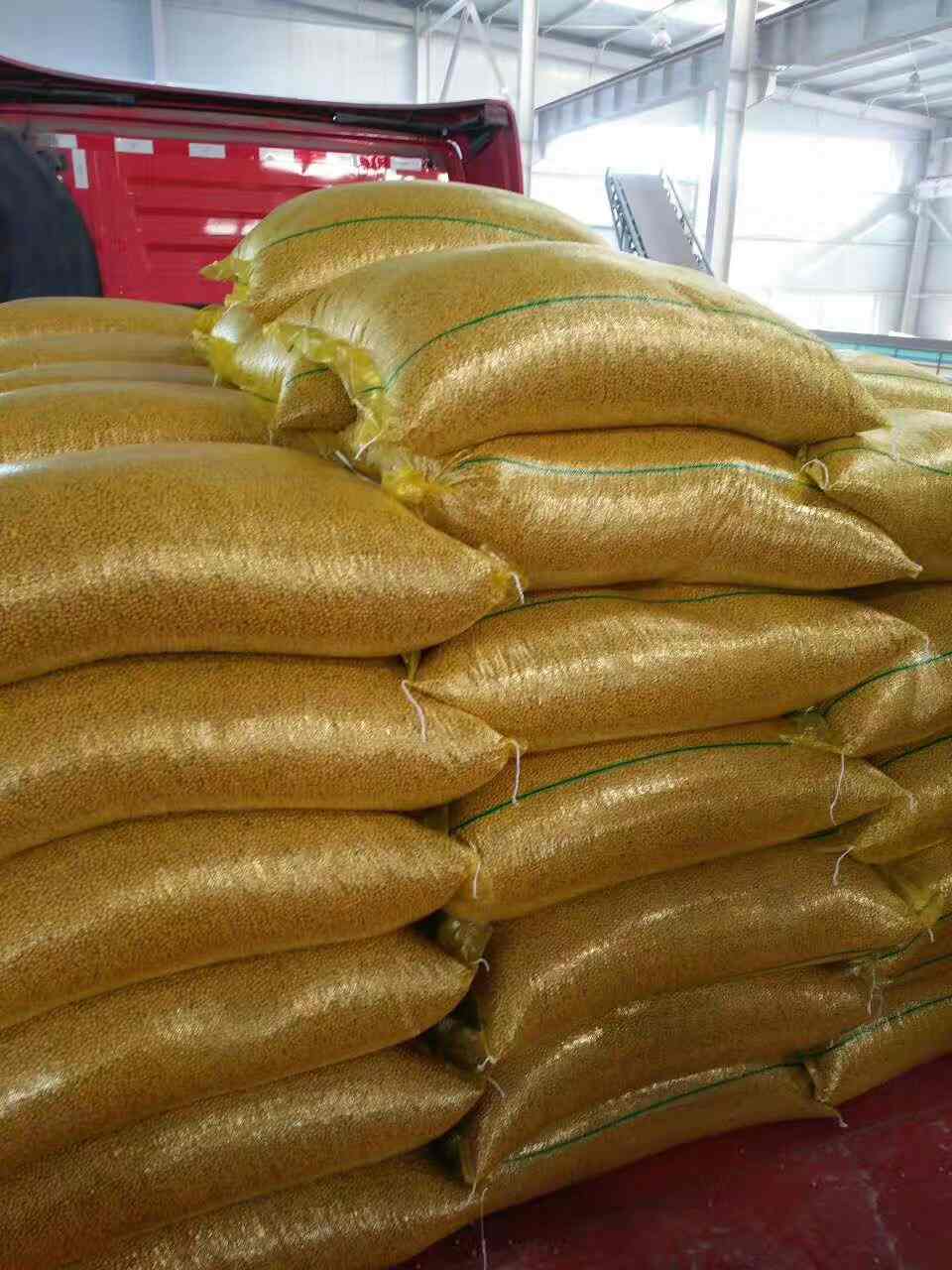 2017大豆进口价格 大豆进口商日照万卓  进口大豆