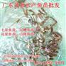 平南七星鱼苗【茂业水产】