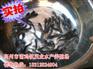 河源埃及塘鲺鱼苗批价格【茂业水产】