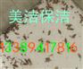西安小区专业灭蟑螂