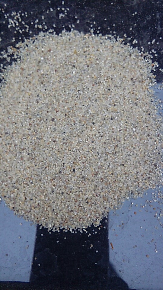 建筑河沙 分目河沙 中粗砂 污水过滤用河沙  中粗沙  污水过滤河沙
