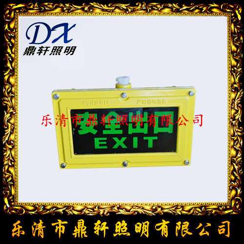 LB8016-400W分体式防震投光灯/温州厂家  LB8016分体投光灯  LB8016防震投光灯  LB8016-400W厂家