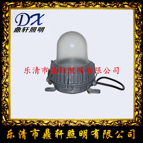 LB8016-1000W金卤灯抗震型投光灯/价格  LB8016抗震投光灯  LB8016投光灯价格