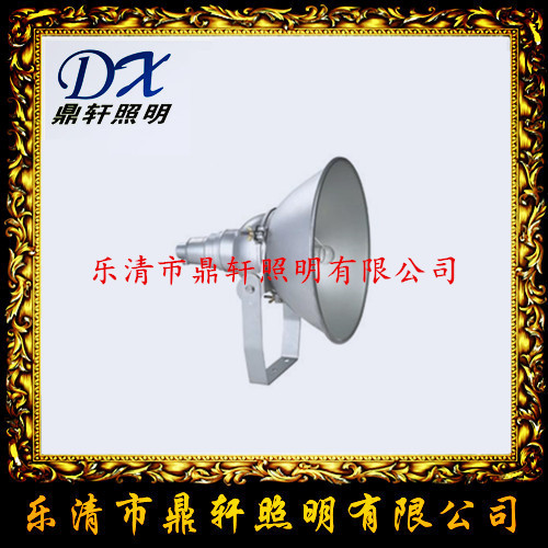 LB8016-1000W金卤灯抗震型投光灯/价格  LB8016抗震投光灯  LB8016投光灯价格