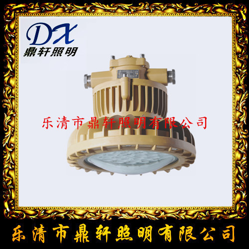 BFC8670投光灯 BFC8670LED防爆泛光灯  BFC8670防爆灯  BFC8670防爆投光灯