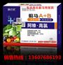 高抗蓟马特效药速克蓟