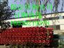 唐山玻璃钢管150*玻璃钢管生产厂家