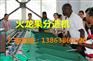 火龙果分选机机械分选火龙果