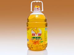 潍坊销量好的花生油供应    ，压榨一级&nbsp;&nbsp;压榨一级花生油&nbsp;&nbsp;压榨一级花生油生产厂