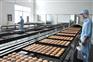 食品网带、山东鲁冠机械、输送机食品网带