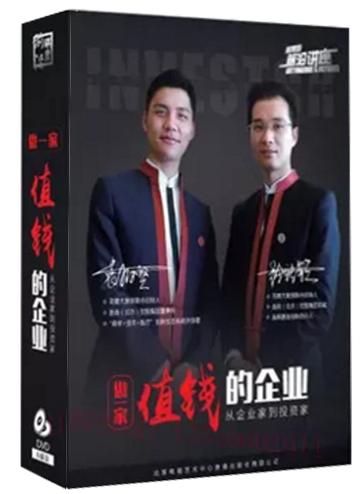 ?做一家值钱的企业 从企业家到投资家 袁柏贤 6DVD