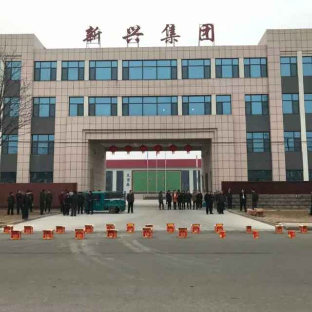 山东省宁津县新兴化工有限公司