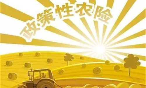 农业保险市场发展前景分析