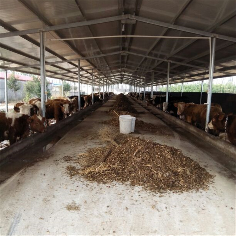 辽宁本溪肉驴市场价格,小尾寒羊价格