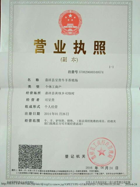 青海玉树肉牛犊价格，山东养牛场