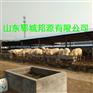 青海玉树利木赞牛价格，西门塔尔牛价格