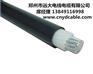 濮阳县低烟无卤电线电缆YD郑州远大未来发展锐不可当