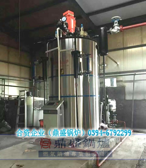 上海鼎盛锅炉有限公司  燃气锅炉