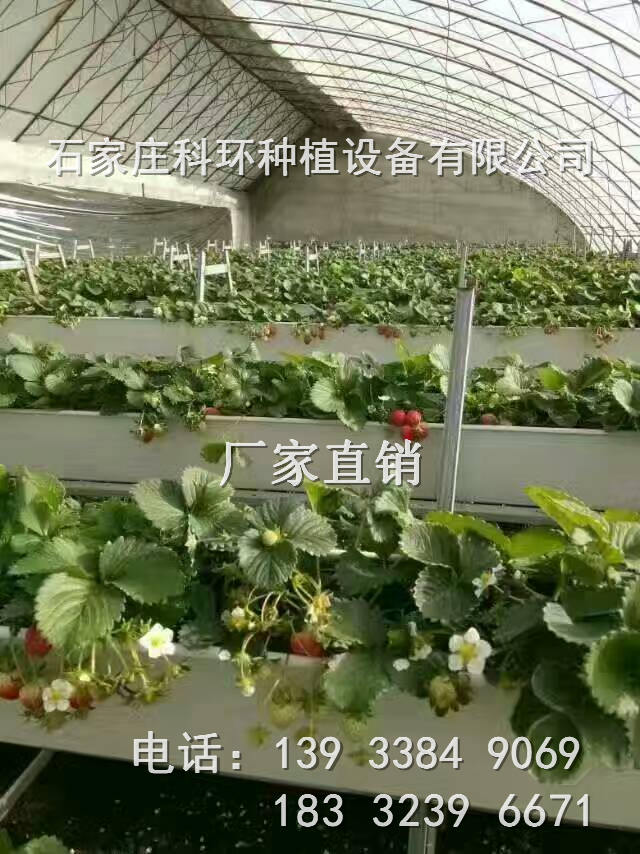 草莓种植槽价格 草莓种植槽尺寸规格  草莓立体种植槽  草莓种植槽厂家