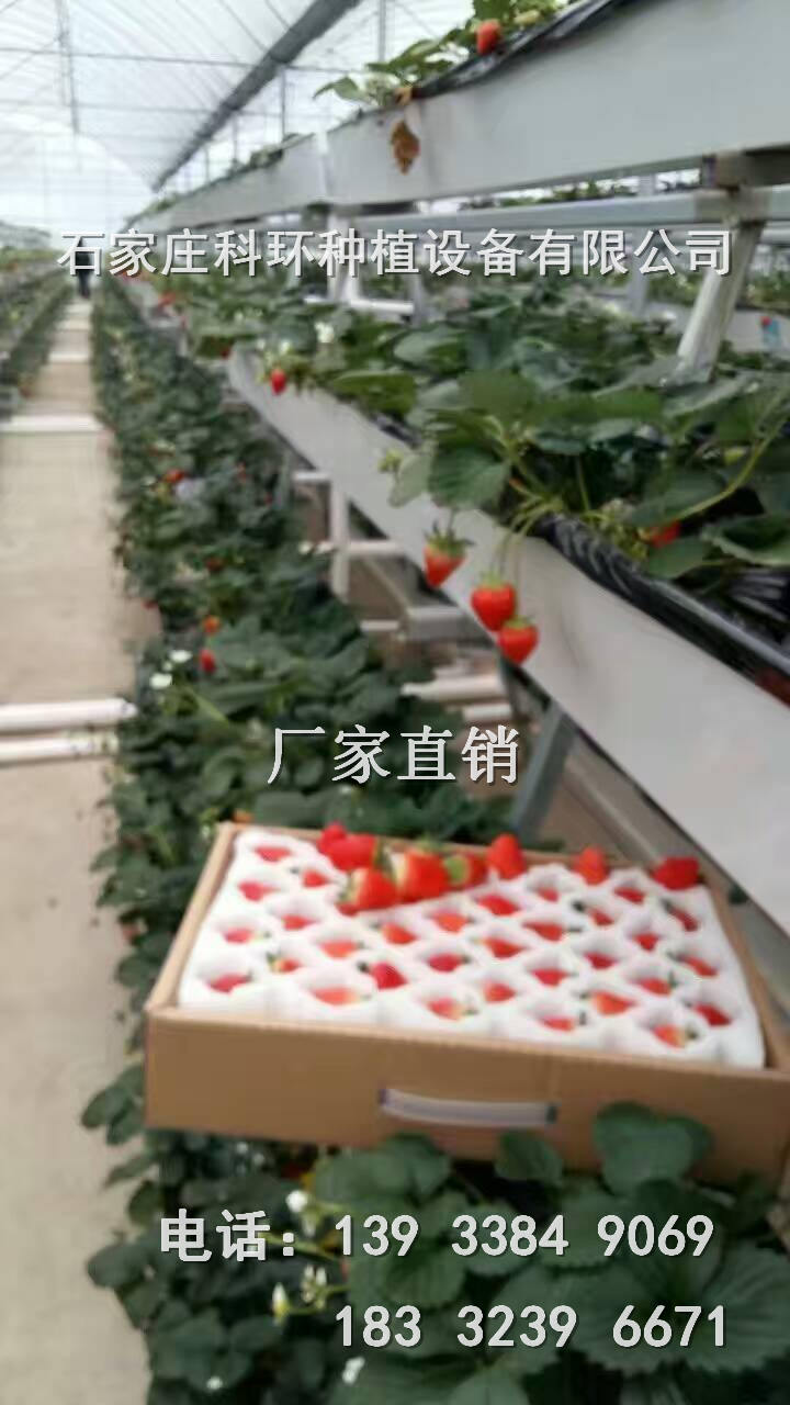 草莓种植槽价格 草莓种植槽尺寸规格  草莓立体种植槽  草莓种植槽厂家