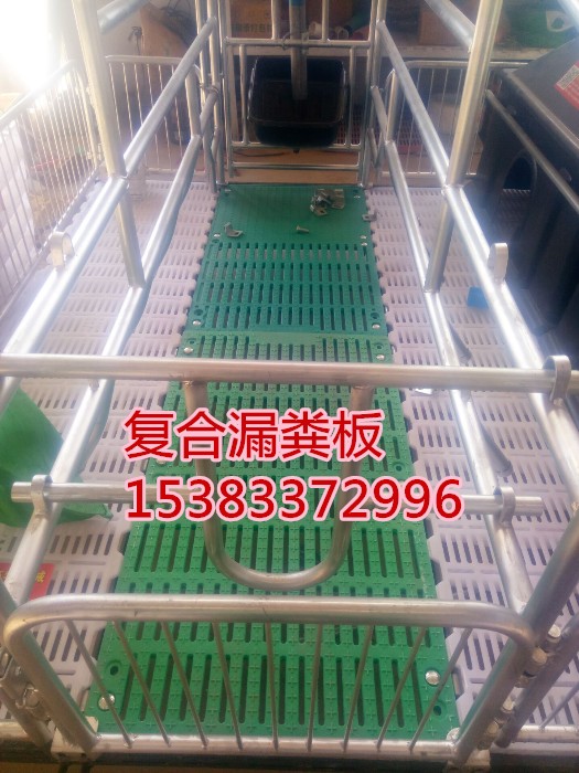 甘肃养猪设备母猪分娩产床——世昌畜牧李倩  新型产床猪用  母猪产床规格
