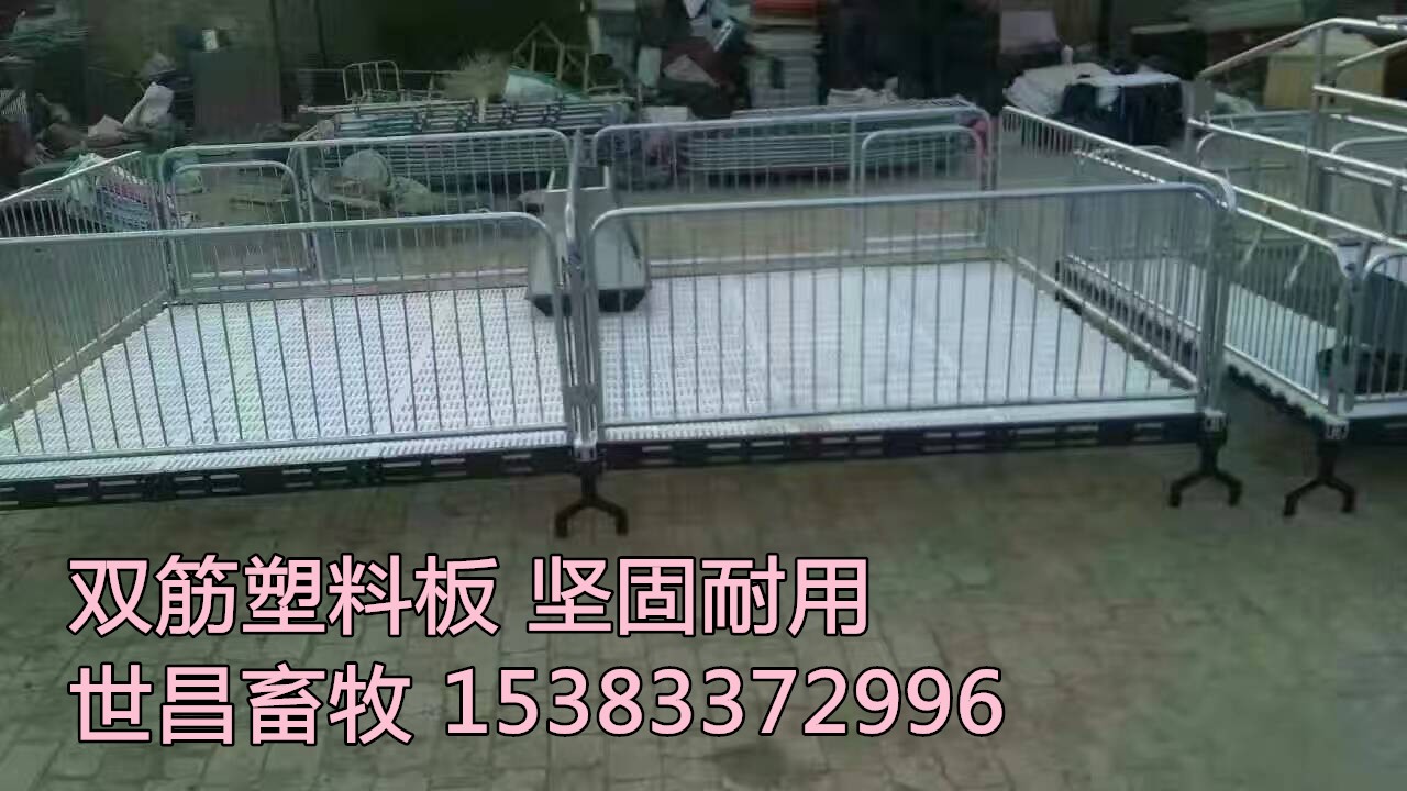 安徽小猪断奶保育栏——世昌畜牧李倩  小猪断奶床  双体保育床  单体小猪床