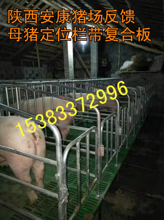 保定猪场复合板定位栏——世昌畜牧李倩  母猪定位栏  限位栏厂家  带底猪用围栏
